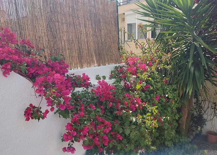 Apartment With Private Garden - Central Location